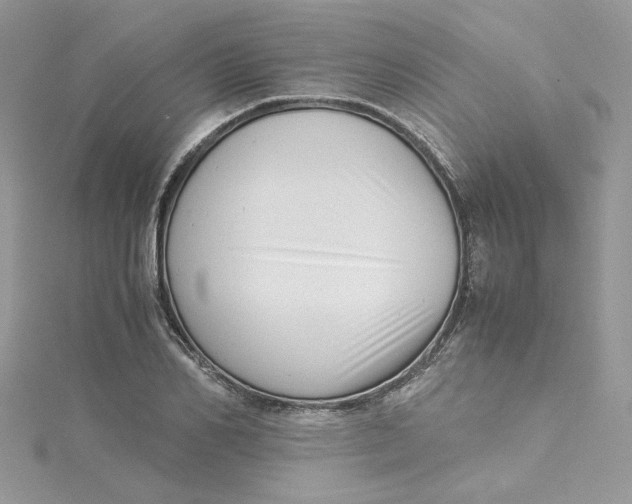 X0000115140982200911171217