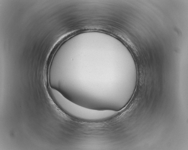 X0000115140984200911171217