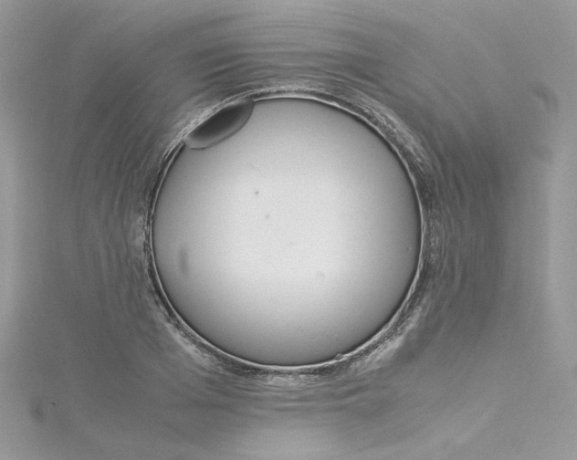 X0000115140985200911171217