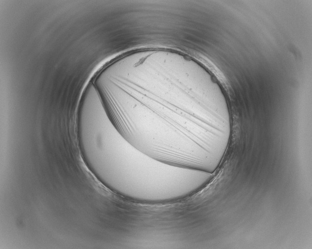 X0000115140996200911171217