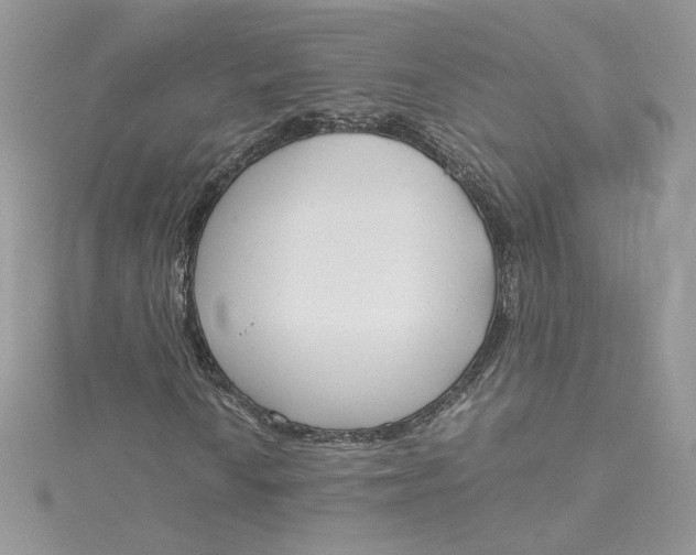 X0000115141010200911171216