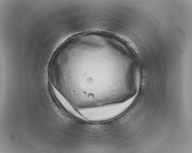 X0000115141031200911171216