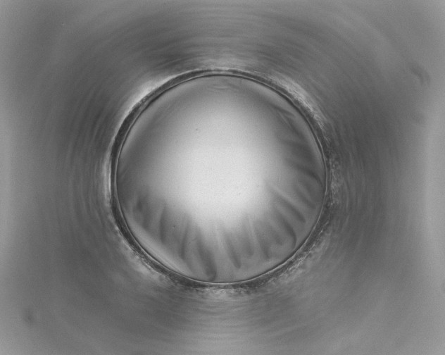 X0000115141032200911171216