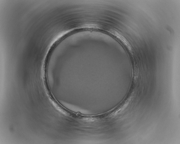 X0000115141037200911171216
