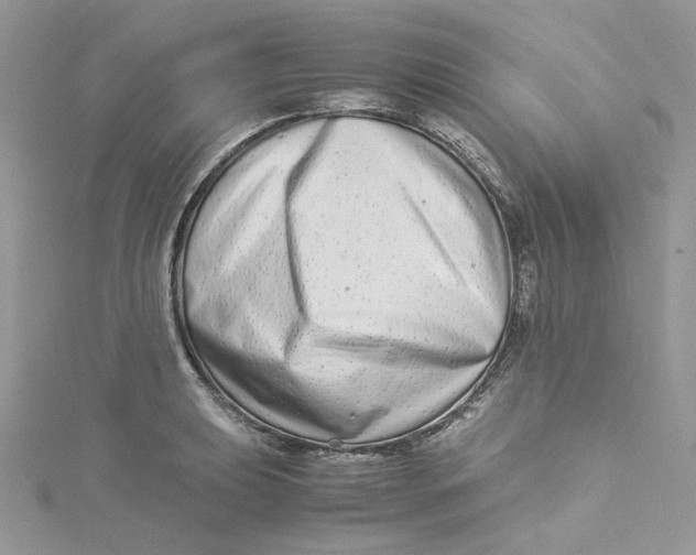X0000115141039200911171216