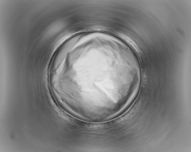 X0000115141047200911171216