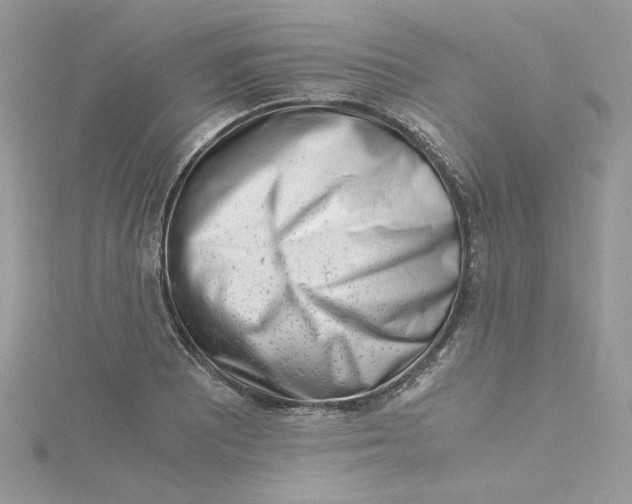 X0000115141081200911171215