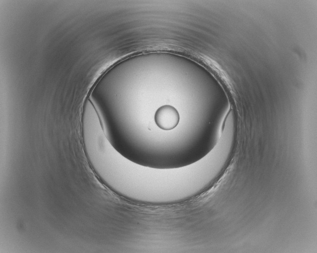X0000115141089200911171215