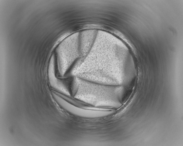 X0000115141145200911171215