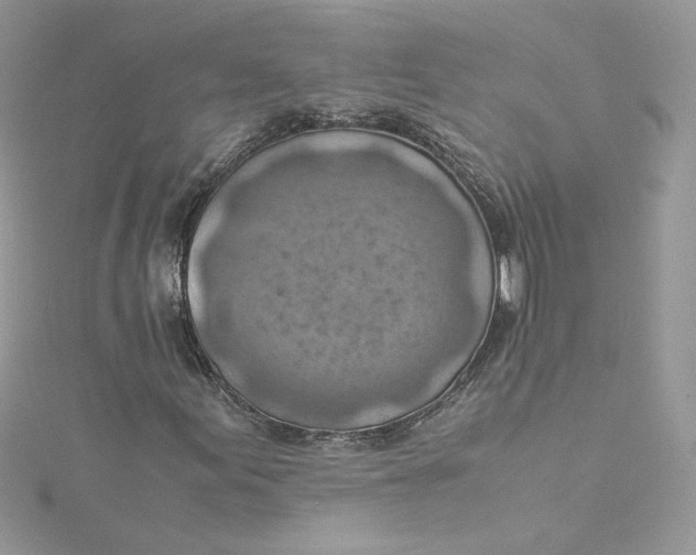 X0000115141155200911171214