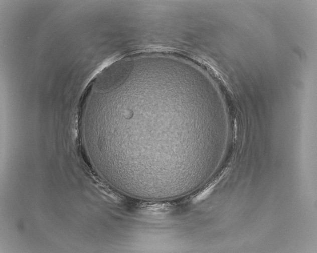 X0000115141165200911171214