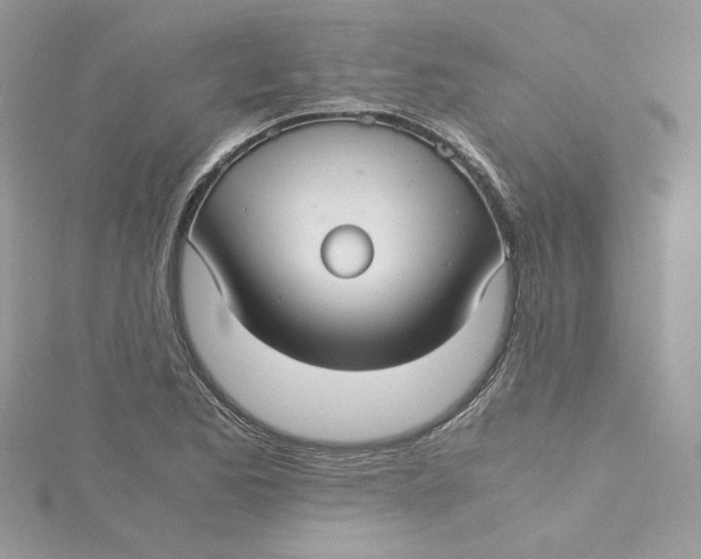 X0000115141173200911171214