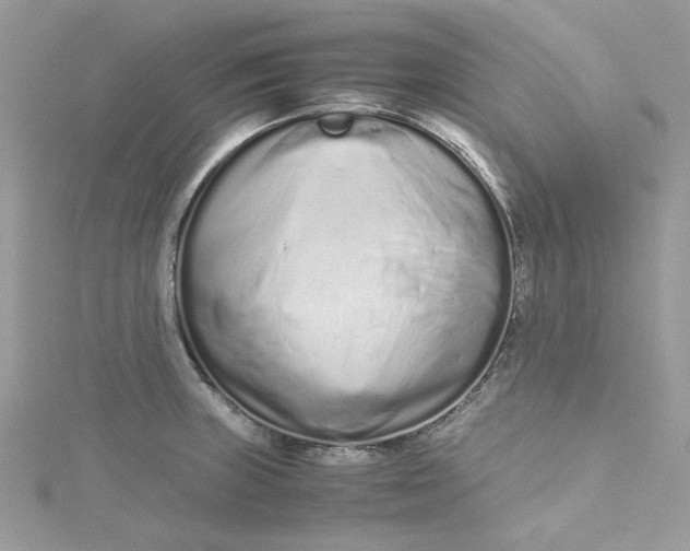 X0000115141235200911171214