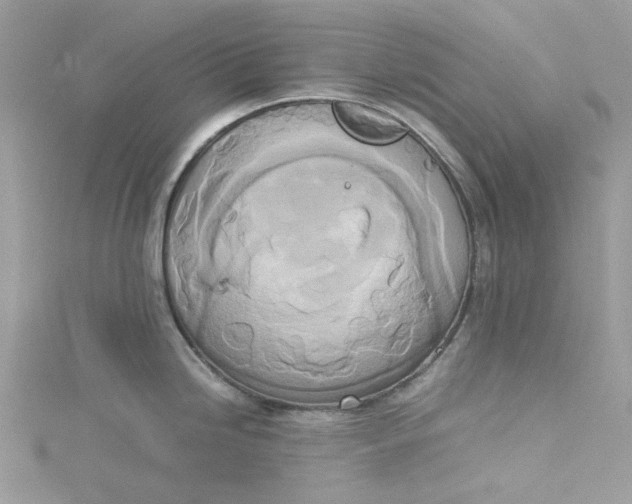 X0000115141246200911171214