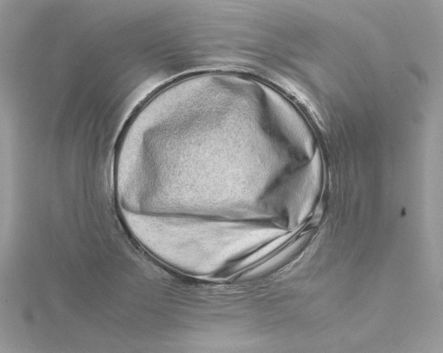 X0000115141275200911171213