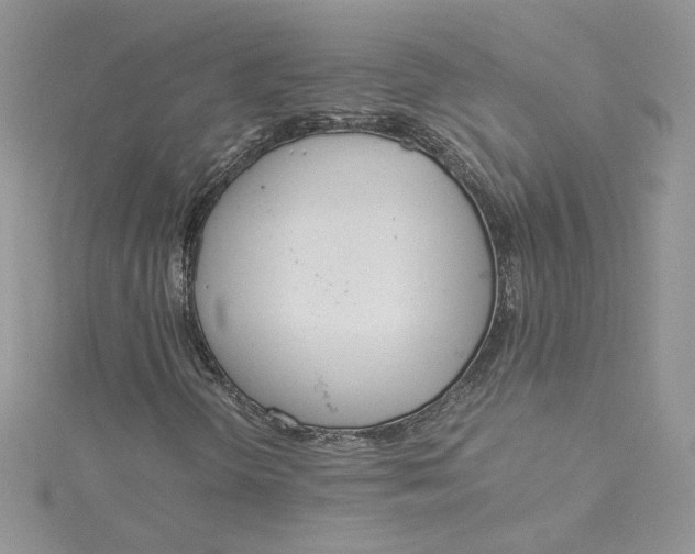 X0000115141298200911171212