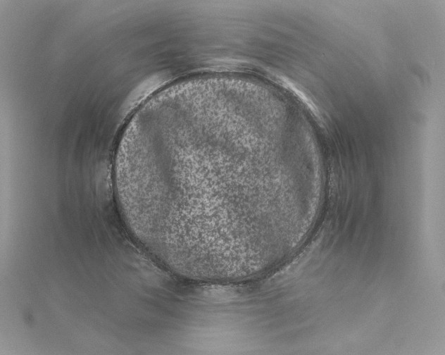 X0000115141362200911171212