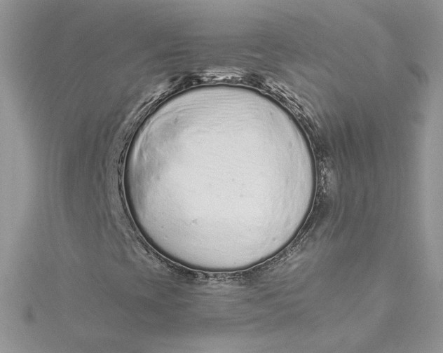 X0000115141393200911171211