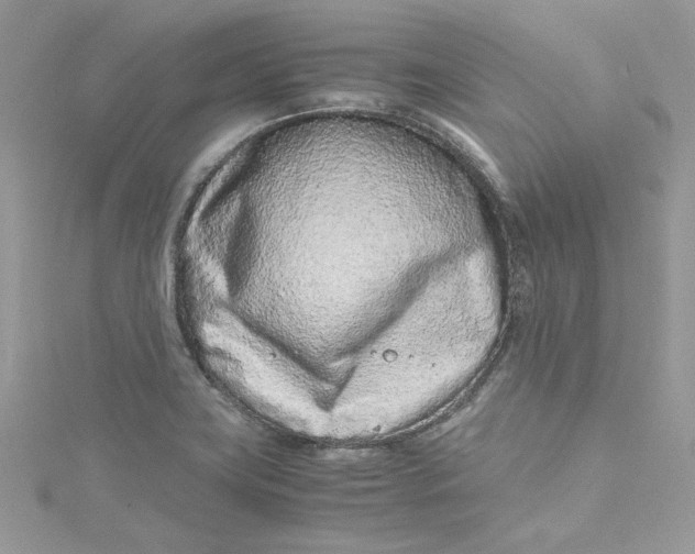 X0000115141419200911171211