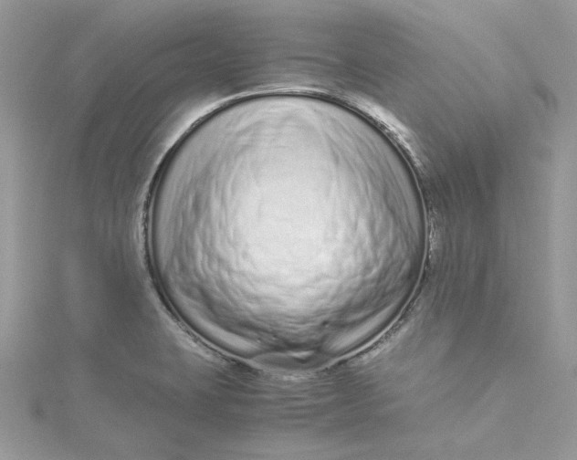 X0000115141423200911171211