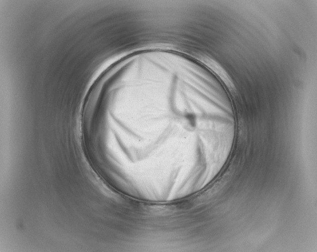 X0000115141436200911171211