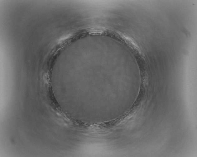 X0000115141445200911171211