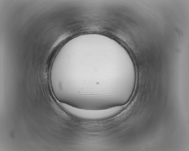 X0000115141450200911171211