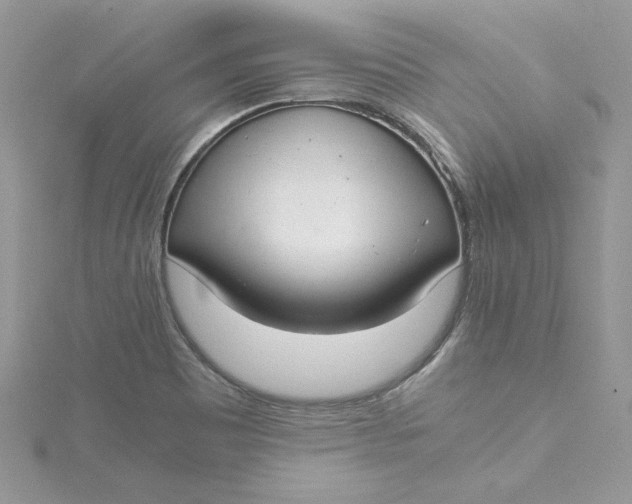 X0000115141465200911171210