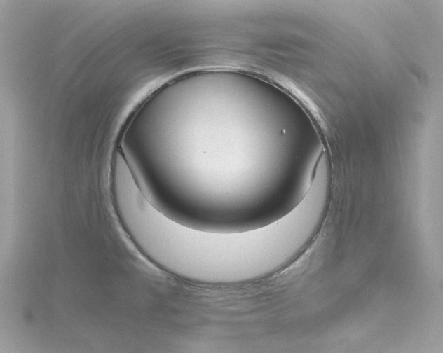 X0000115141477200911171210