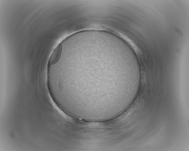 X0000115141479200911171210