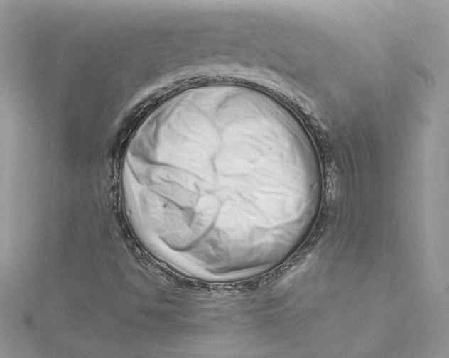 X0000115141494200911171210