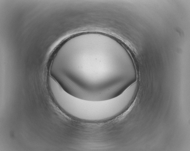 X0000115141502200911171210