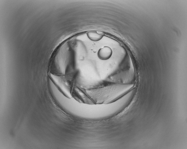 X0000115141505200911171210