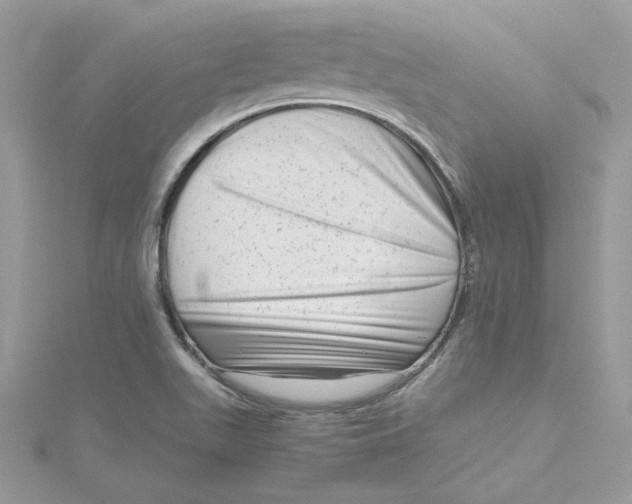 X0000115141511200911171210
