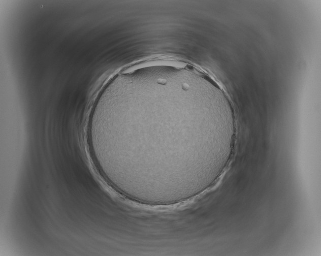 X0000115140001200911241515