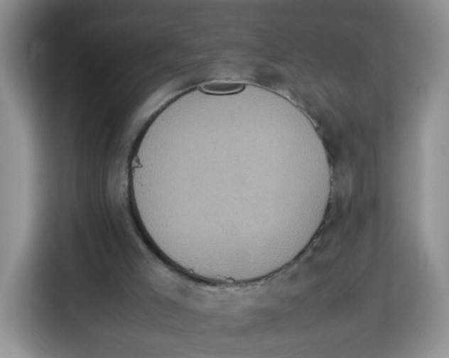 X0000115140005200911241515