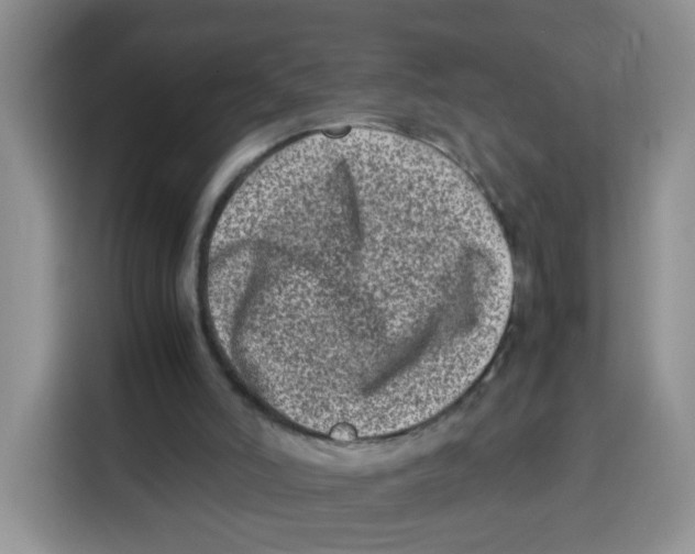 X0000115140006200911241515