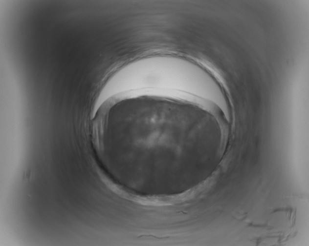 X0000115140009200911241515
