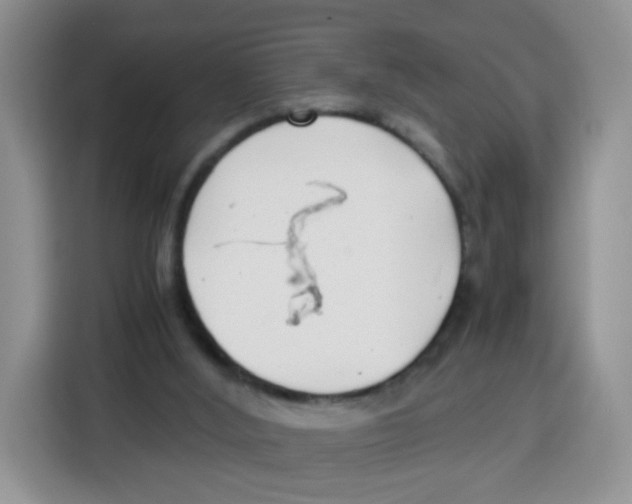X0000115140012200911241515
