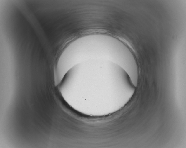 X0000115140013200911241515