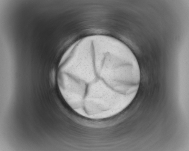 X0000115140014200911241515