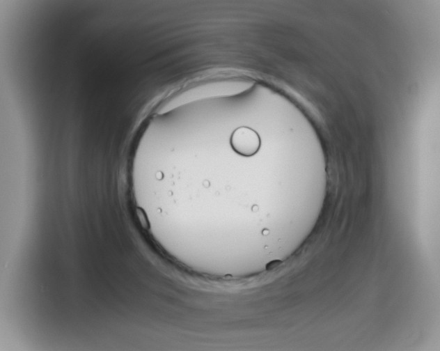 X0000115140015200911241515