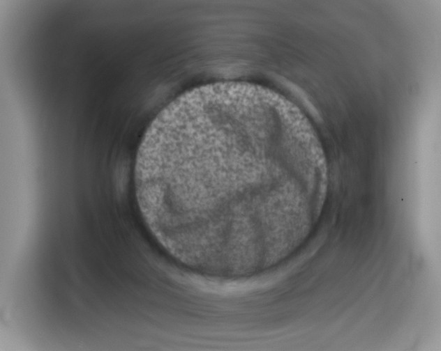 X0000115140018200911241515
