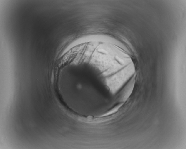 X0000115140019200911241515