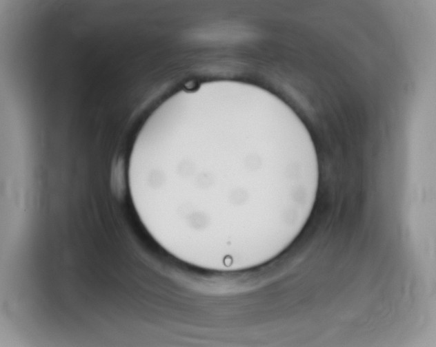 X0000115140020200911241515