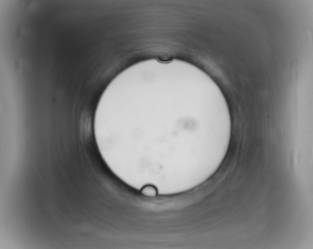 X0000115140021200911241515