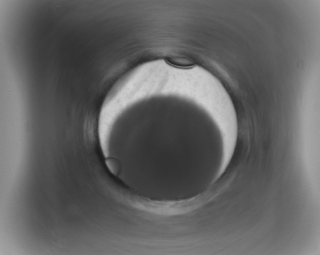 X0000115140023200911241515