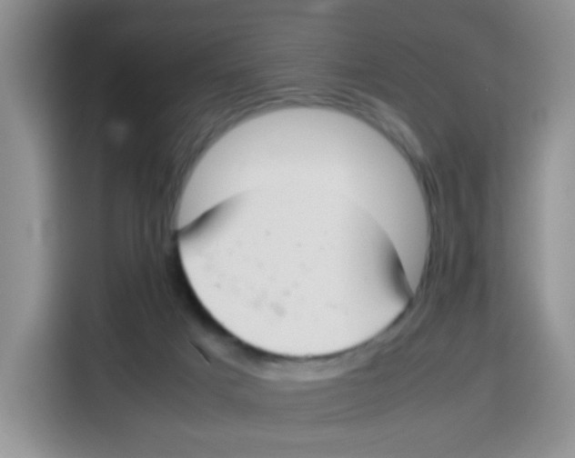 X0000115140025200911241515