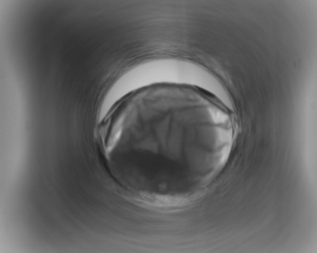X0000115140027200911241515