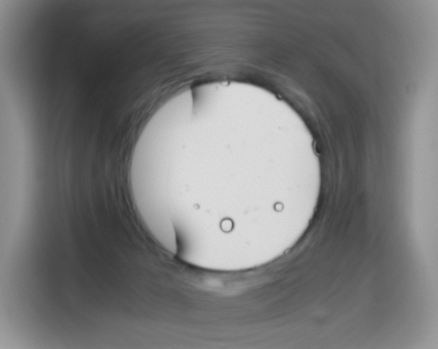 X0000115140029200911241515